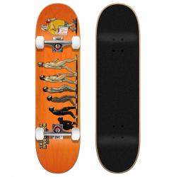Skateboard Jart Involution 8.25